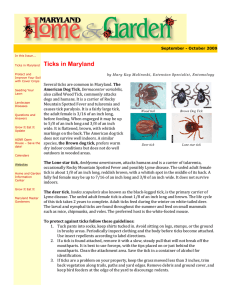 Ticks in Maryland  The also called Wood Tick, commonly attacks