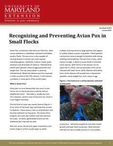 Recognizing and Preventing Avian Pox in Small Flocks