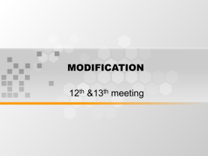 MODIFICATION 12 &amp;13 meeting