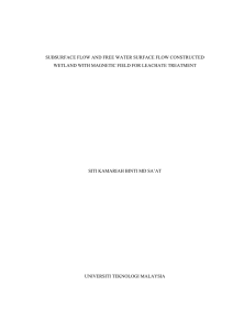 SUBSURFACE FLOW AND FREE WATER SURFACE FLOW CONSTRUCTED