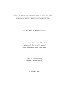 LEACHATE TREATMENT USING SUBSURFACE FLOW AND FREE AIN NIHLA BINTI KAMARUDZAMAN