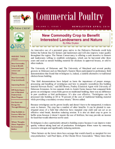 Commercial Poultry New Commodity Crop to Benefit Interested Landowners and Nature