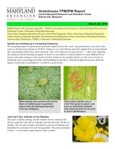 Greenhouse TPM/IPM Report  March 28, 2014