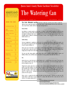 The Watering Can Queen Anne’s County Master Gardener Newsletter  Nelumbo nucifera