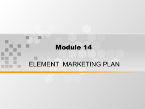 Module 14 ELEMENT  MARKETING PLAN