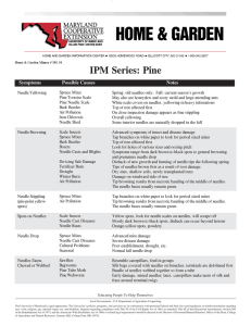 IPM Series: Pine Symptoms Possible Causes Notes