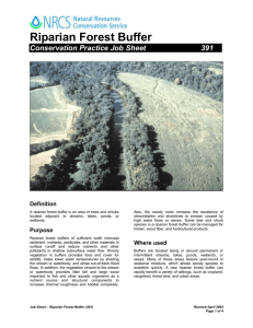 Riparian Forest Buffer Conservation Practice Job Sheet 391 Definition
