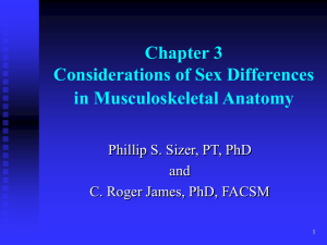 Chapter 3 Considerations of Sex Differences in Musculoskeletal Anatomy