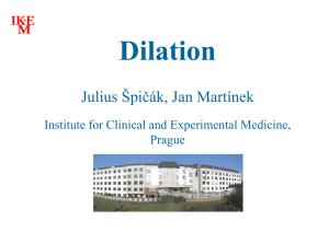 Dilation Julius Špičák, Jan Martínek Institute for Clinical and Experimental Medicine, Prague