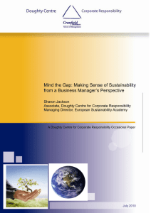 Mind the Gap: Making Sense of Sustainability