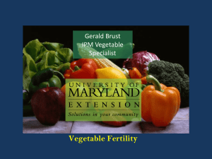 y Vegetable Fertilit Gerald Brust IPM Vegetable