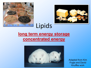 Lipids long term energy storage concentrated energy Adapted from Kim