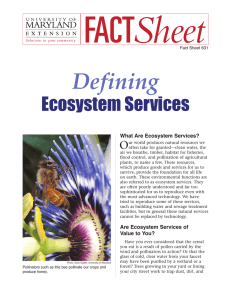 Defining  Ecosystem Services O