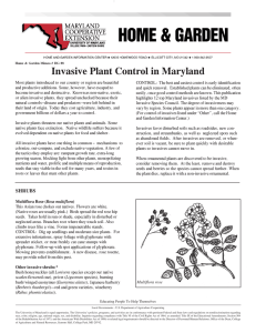 Invasive Plant Control in Maryland