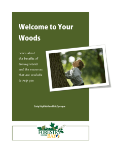 Welcome to Your Woods Learn about