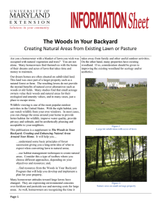 The Woods In Your Backyard  Creating Natural Areas from Existing Lawn or Pasture   