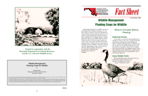 Wildlife Management Planting Crops for Wildlife What to Consider Before Planting