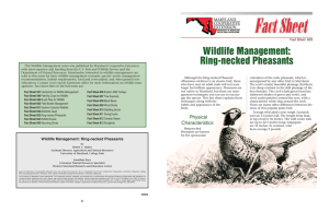 Wildlife Management: Ring-necked Pheasants Fact Sheet  603