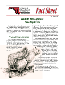 Wildlife Management: Tree Squirrels Fact Sheet 607