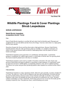 Wildlife Plantings Food &amp; Cover Plantings Shrub Lespedezas SHRUB LESPEDEZAS