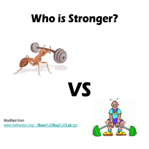 VS Who is Stronger? Modified from Bess