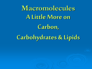 A Little More on Carbon, Carbohydrates &amp; Lipids Macromolecules