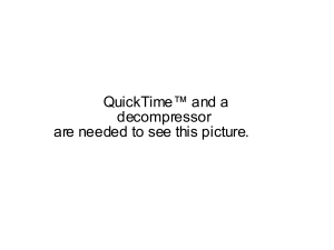QuickTime™ and a decompressor are needed to see this picture.