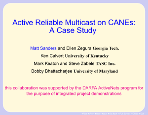 Active Reliable Multicast on CANEs: A Case Study