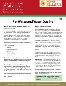 Pet Waste and Water Quality Are You Risking Your Health?