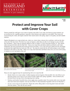 Protect and Improve Your Soil with Cover Crops