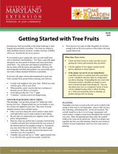 Getting Started with Tree Fruits
