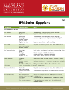 IPM Series: Eggplant  Notes