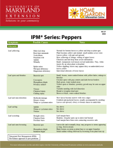 IPM* Series: Peppers Symptoms Possible  Causes Notes