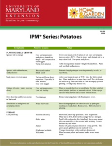 IPM* Series: Potatoes Symptoms Possible Causes
