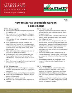How to Start a Vegetable Garden: 6 Basic Steps