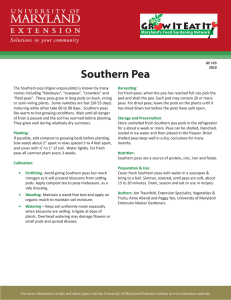Southern Pea