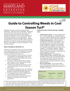 Guide to Controlling Weeds in Cool