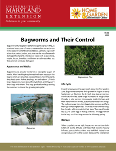 Bagworms and Their Control