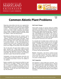 Common Abiotic Plant Problems Soil Grade Changes