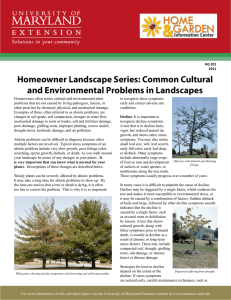 Homeowner Landscape Series: Common Cultural and Environmental Problems in Landscapes