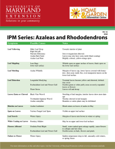 IPM Series: Azaleas and Rhododendrons Symptoms Possible Causes Notes