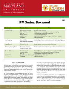 IPM Series: Boxwood Not for Resale Symptoms Possible Causes