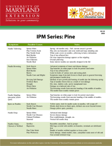 IPM Series: Pine  Notes