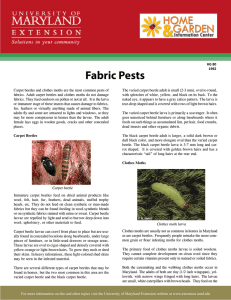 Fabric Pests