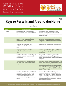 Keys to Pests in and Around the Home Indoor Pests  Flying