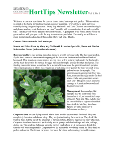 HortTips Newsletter