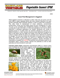 Insect Pest Management in Eggplant