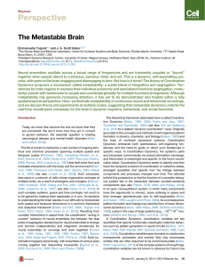 Perspective The Metastable Brain Neuron