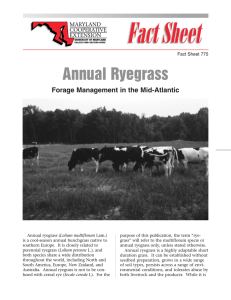Annual Ryegrass Forage Management in the Mid-Atlantic Fact Sheet 775