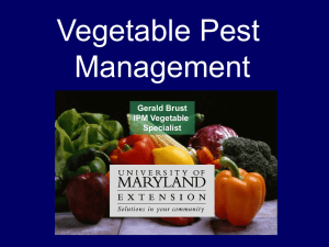Vegetable Pest Management Gerald Brust IPM Vegetable